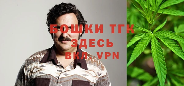 индика Магадан