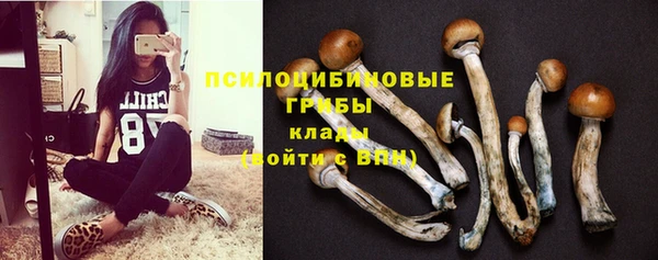 индика Магадан