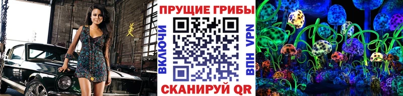 Купить закладки  Серафимович  Псилоцибиновые грибы Psilocybine cubensis 